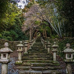 🏞️ 가미사카 공원(가미사카 호루이) 이미지 11